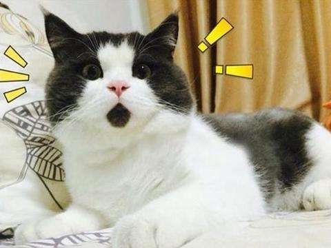 青光眼,眼藥水 青光眼,眼藥水