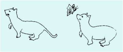 小兒斜視,小兒弱視,兒童眼科疾病,珠海希瑪眼科 小兒斜視,小兒弱視,兒童眼科疾病,珠海希瑪眼科