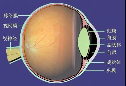 白內(nèi)障,白內(nèi)障手術,珠海希瑪眼科 白內(nèi)障,白內(nèi)障手術,珠海希瑪眼科