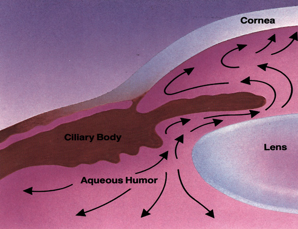 青光眼,青光眼治療,治療青光眼醫(yī)院,珠海希瑪眼科醫(yī)院