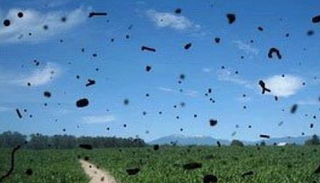 視網(wǎng)膜脫落,珠海視網(wǎng)膜脫落怎么辦,視網(wǎng)膜脫落治療醫(yī)院 視網(wǎng)膜脫落,珠海視網(wǎng)膜脫落怎么辦,視網(wǎng)膜脫落治療醫(yī)院