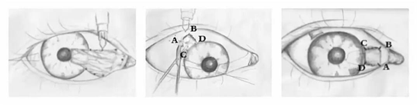 點(diǎn)擊查看原始圖片