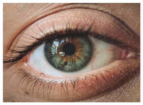 飛蚊癥哪家醫(yī)院好,治療飛蚊癥的辦法,珠海飛蚊癥醫(yī)院哪家好 飛蚊癥哪家醫(yī)院好,治療飛蚊癥的辦法,珠海飛蚊癥醫(yī)院哪家好