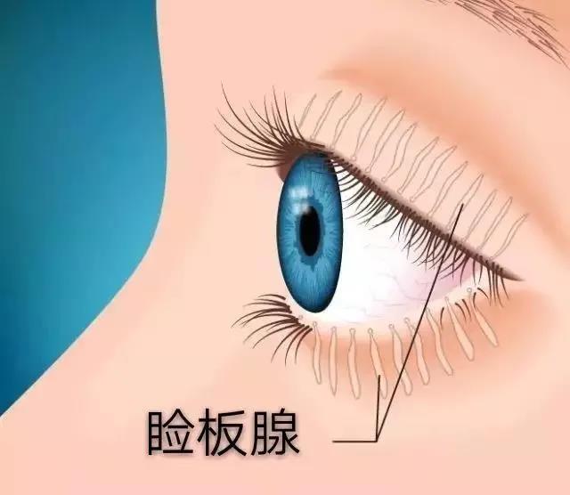 眼睛干澀如何解決,眼睛干得厲害怎么治療,眼睛干澀用什么藥 眼睛干澀如何解決,眼睛干得厲害怎么治療,眼睛干澀用什么藥