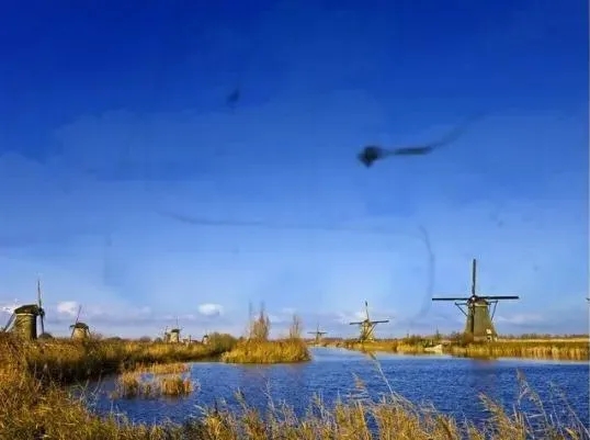 惡性飛蚊癥,飛蚊癥有多可怕 惡性飛蚊癥,飛蚊癥有多可怕